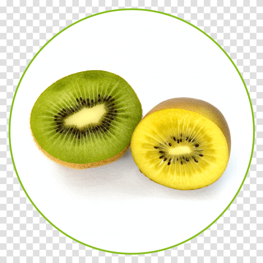 Plant, Fruit, Food, Kiwi Transparent Png