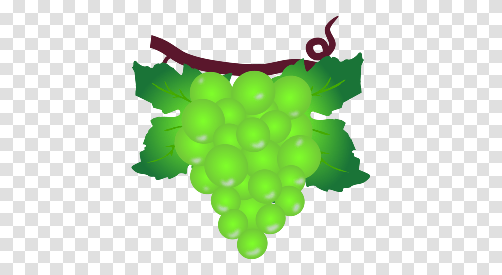 Plant Grape Grapevine Family Green Grapes Clipart, Fruit, Food, Balloon Transparent Png