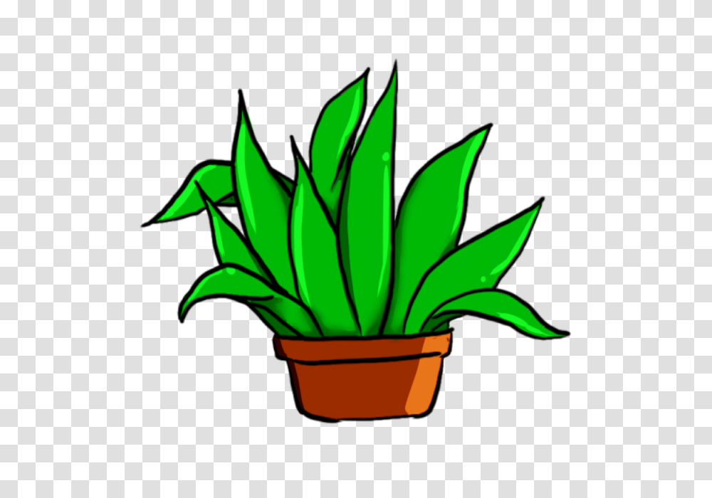 Plant Green Leaf And For Free Download, Aloe, Tabletop, Furniture Transparent Png