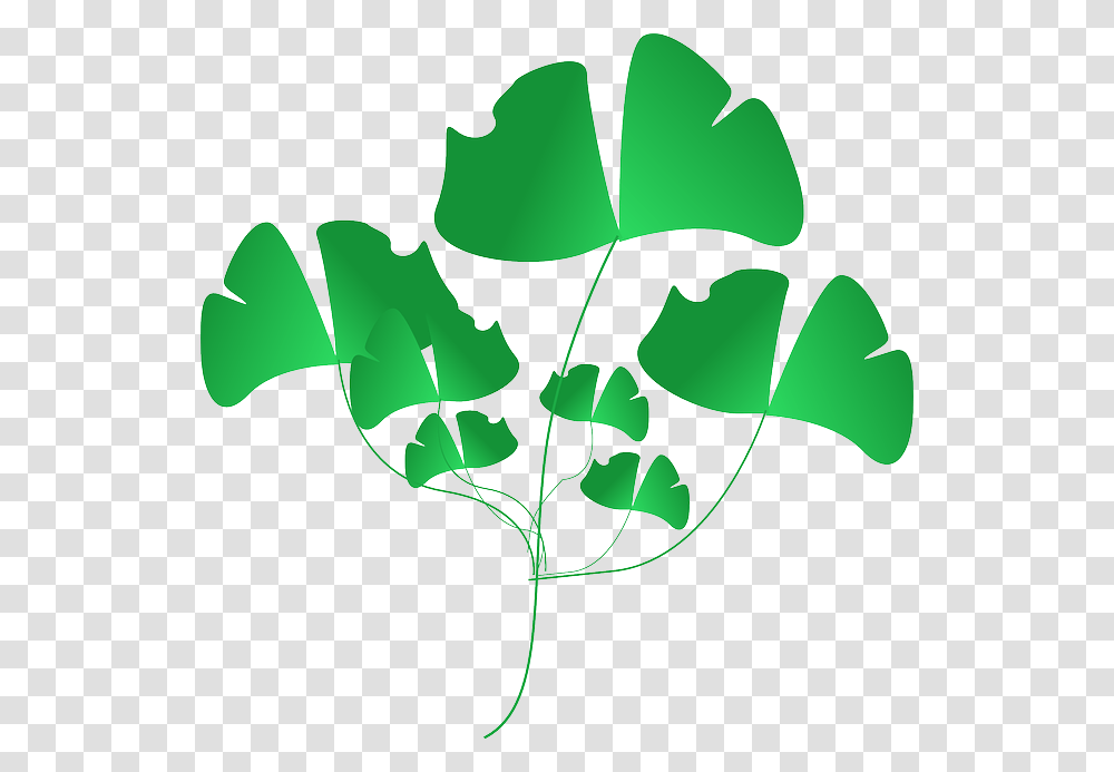 Plant Green Leaves Nature Weeds Portable Network Graphics, Leaf, Tree Transparent Png