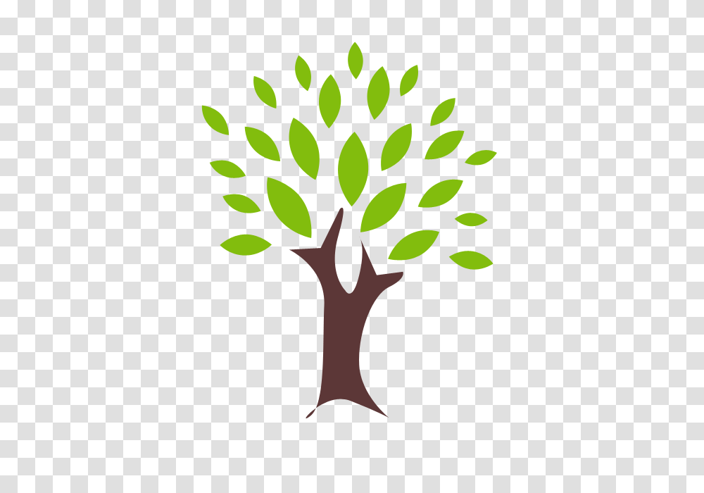 Plant, Green, Tree Transparent Png