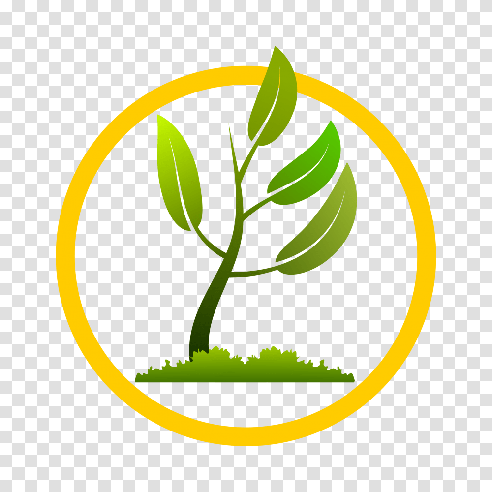 Plant Growing Image, Tennis Ball, Sport, Sports, Logo Transparent Png