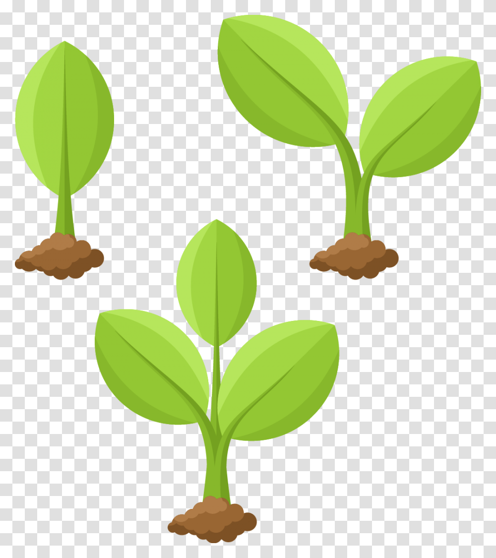 Plant Growing Plant Drawing, Leaf, Green, Sprout, Flower Transparent Png