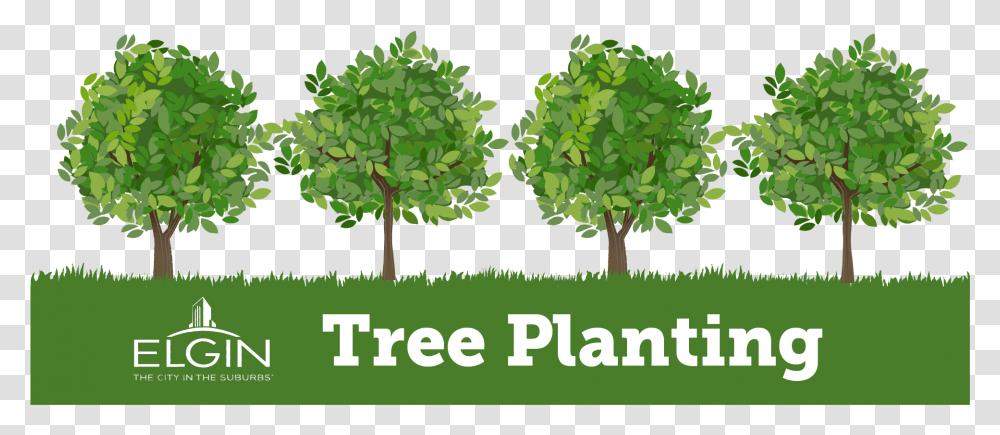 Plant Growing Tree Planting Logo, Green, Grass, Leaf, Oak Transparent Png