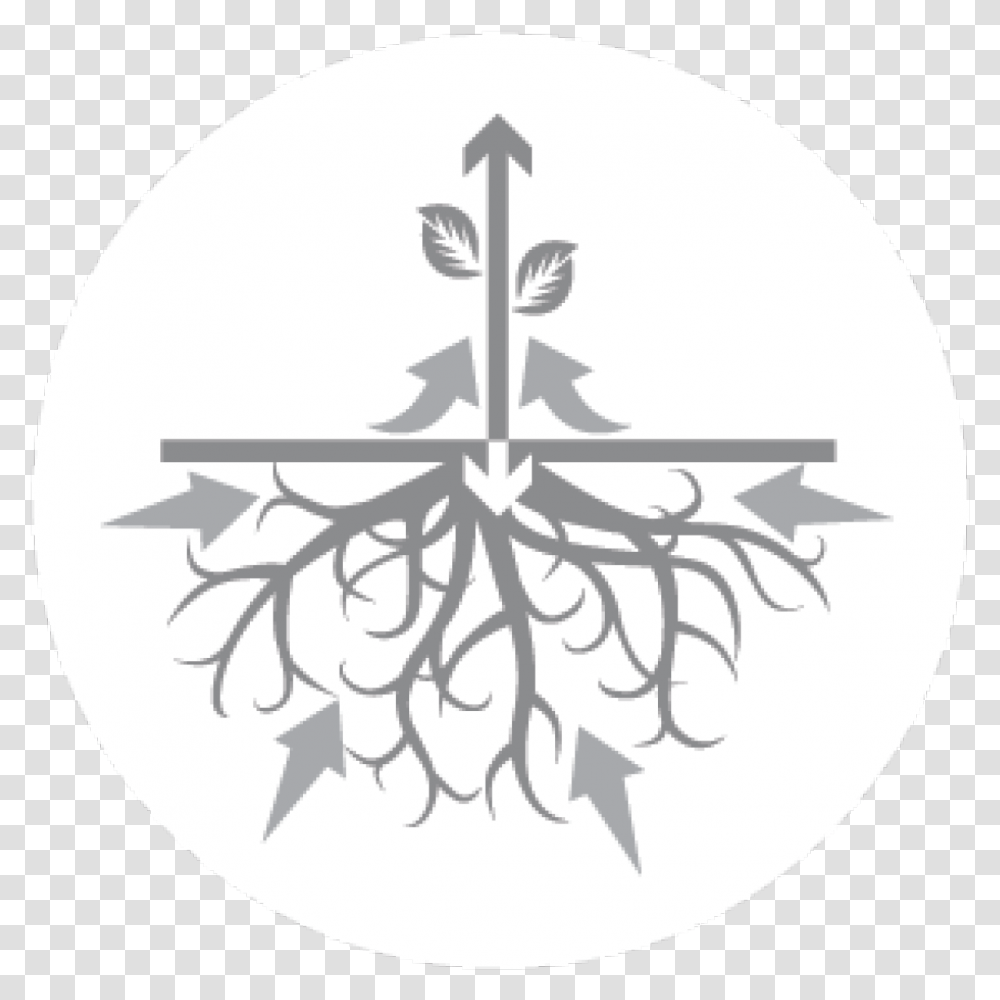 Plant Growth Emblem, Stencil, Root, Lamp, Vegetable Transparent Png