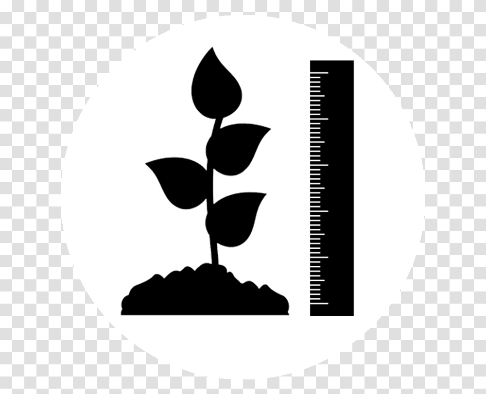 Plant Height Icon, Label, Stencil, Sticker Transparent Png