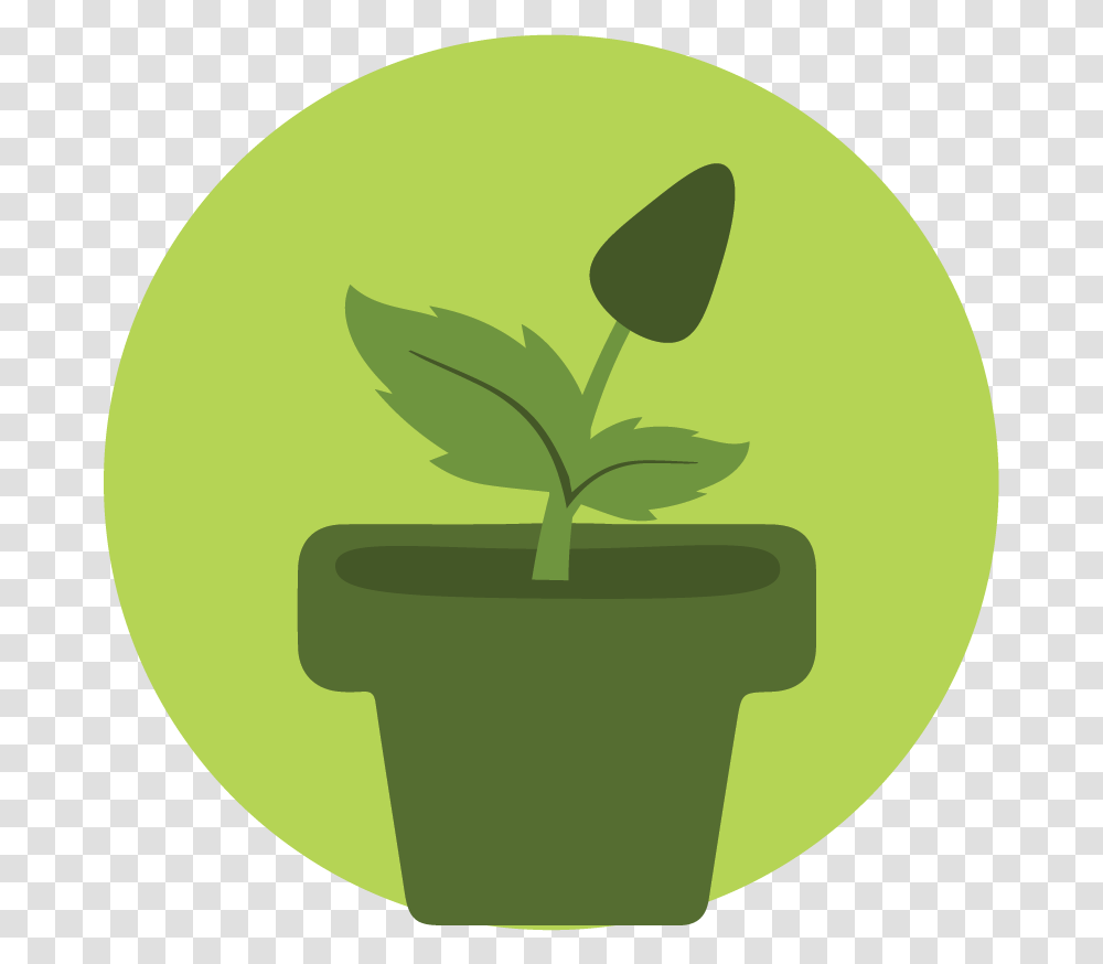 Plant Icon Black Circle, Tennis Ball, Sport, Sports, Sprout Transparent Png