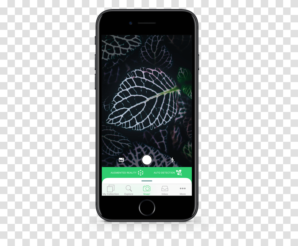Plant Identification App, Mobile Phone, Electronics, Cell Phone, Iphone Transparent Png