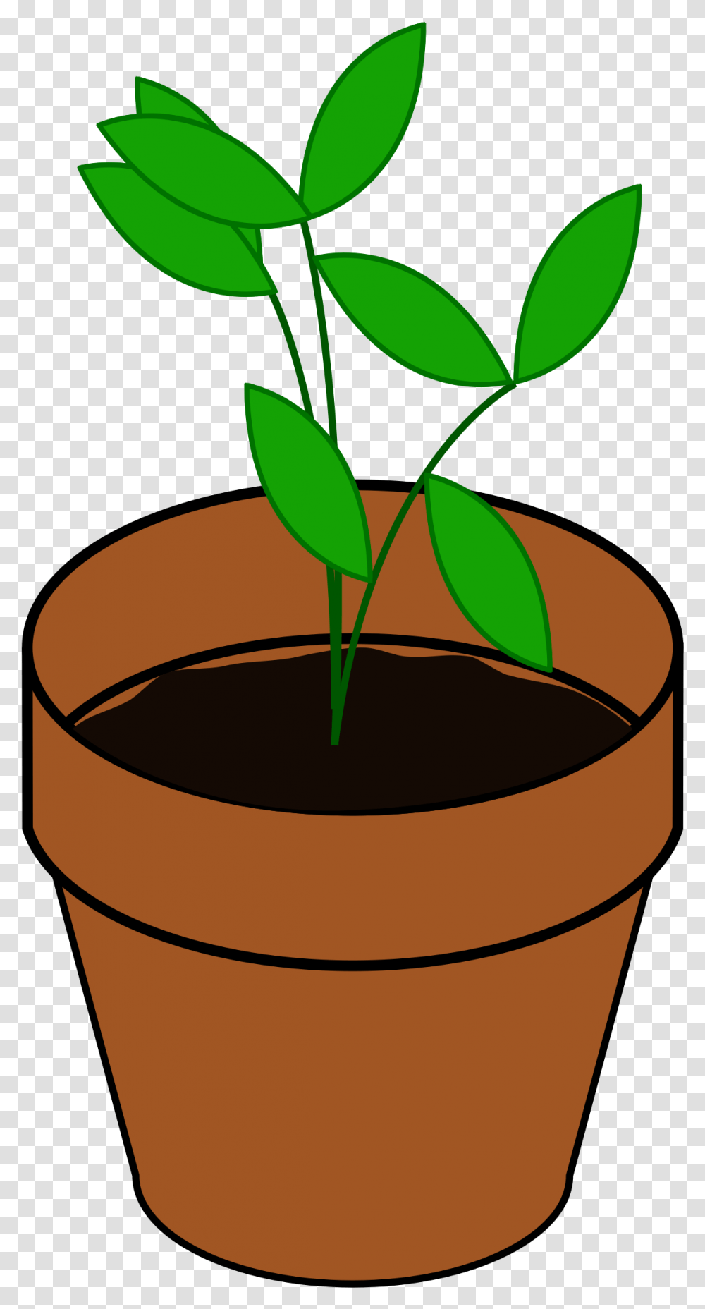Plant In A Pot Clipart, Leaf, Sprout, Bucket, Soil Transparent Png