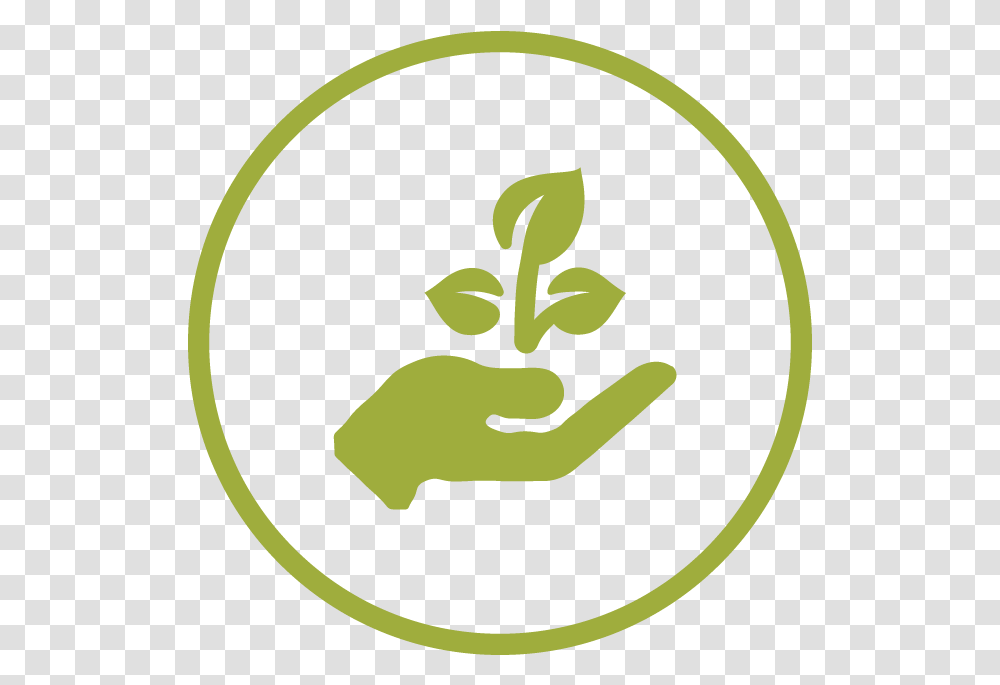 Plant In Hand Icon, Vegetable, Food, Produce, Dish Transparent Png