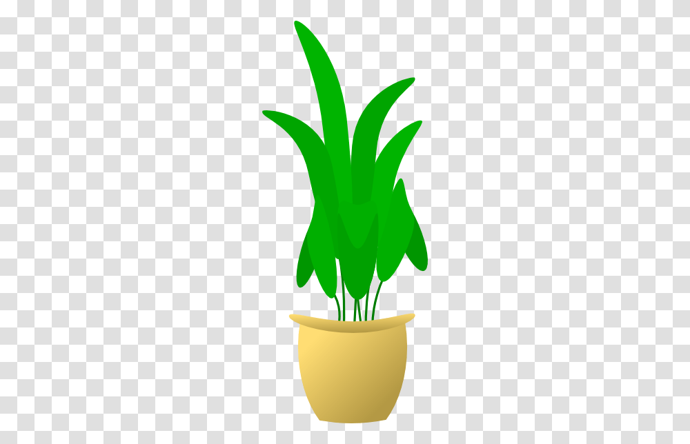 Plant In Pot Clip Art, Vegetable, Food, Leaf, Flower Transparent Png