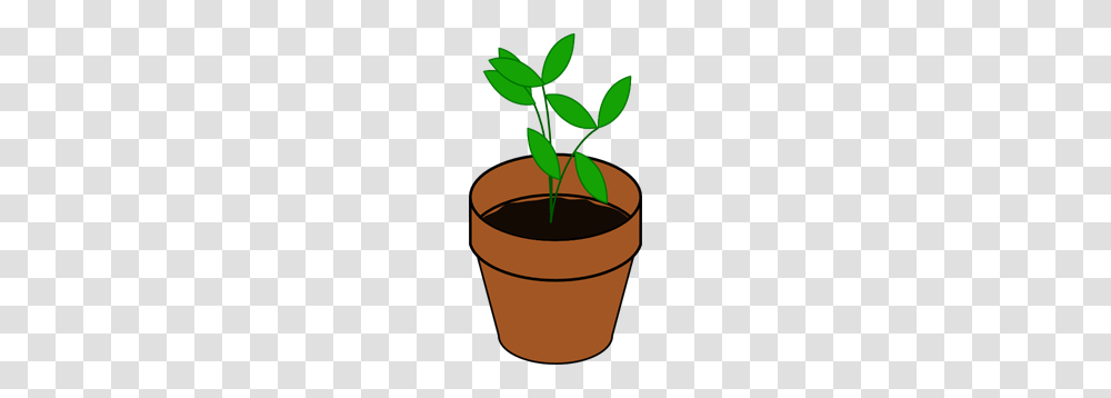 Plant In Pot Clip Arts For Web, Soil, Leaf, Sprout, Bucket Transparent Png