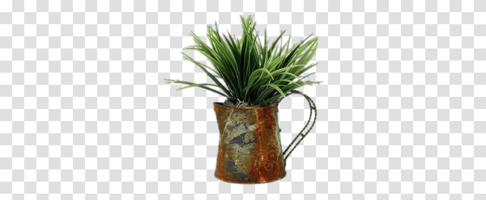 Plant In Watering Can Stickpng Sweet Grass, Flower, Blossom, Jug, Tree Transparent Png