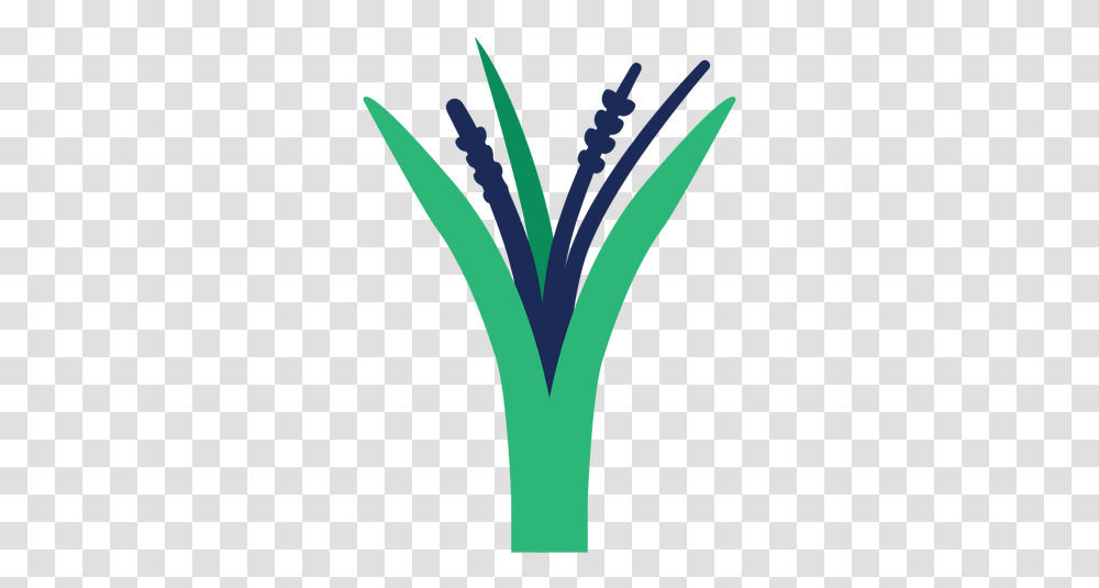 Plant Leaf Bushes Tree Grass Flat Emblem, Vegetable, Food, Produce, Leek Transparent Png