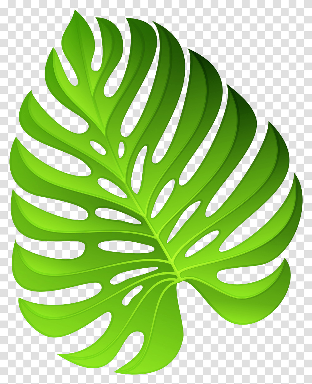 Plant Leaf Clipart, Green, Droplet, Veins Transparent Png