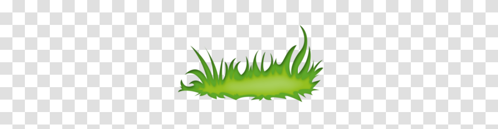 Plant, Leaf, Green, Animal Transparent Png