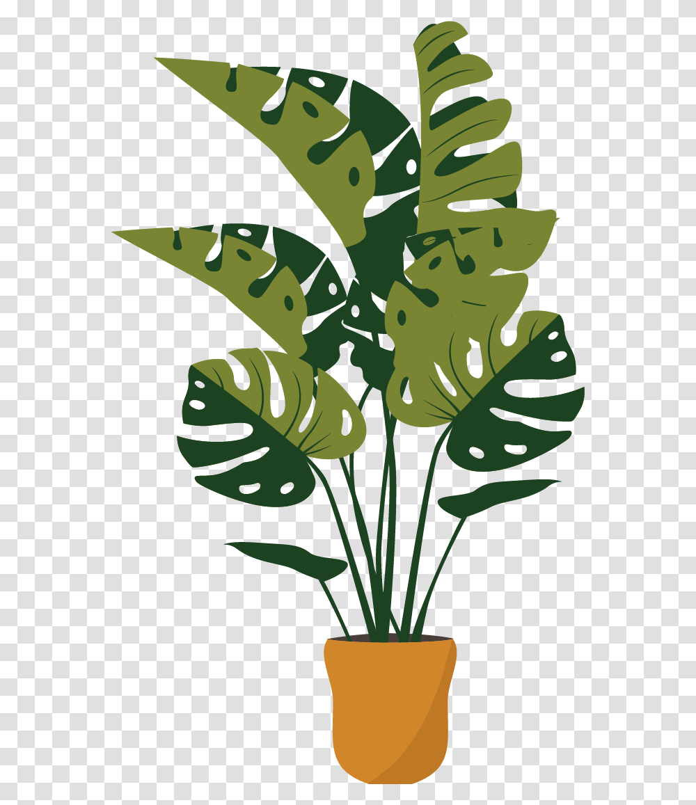 Plant, Leaf, Green, Flower, Blossom Transparent Png