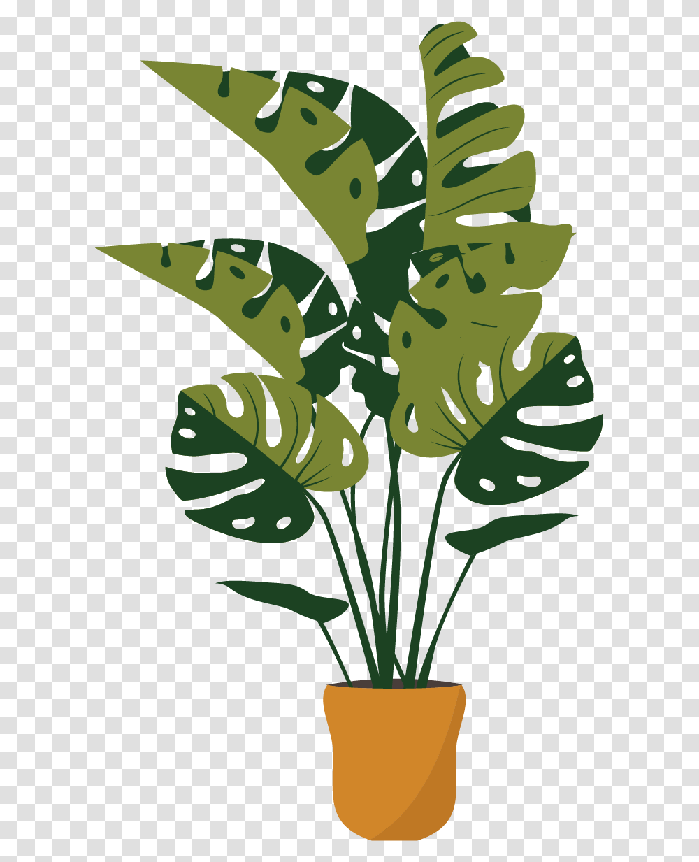 Plant, Leaf, Green Transparent Png