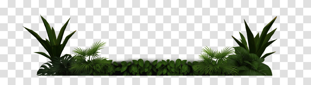 Plant, Leaf, Green, Potted Plant Transparent Png