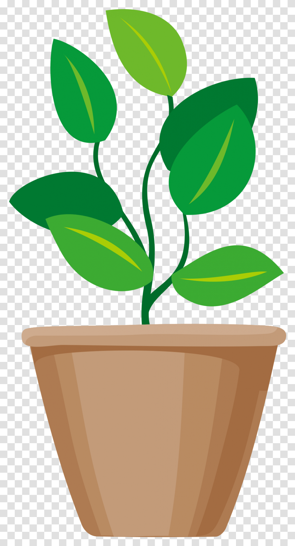 Plant, Leaf, Pottery, Jar Transparent Png