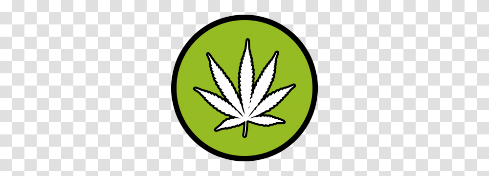 Plant, Leaf, Logo Transparent Png