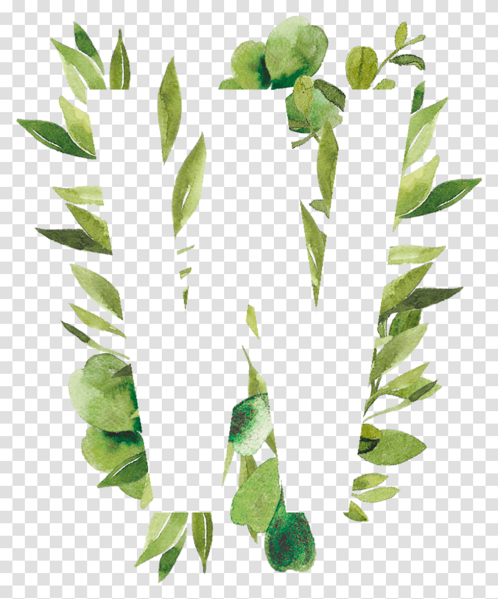 Plant Leaves Image By Zafrina Mendoza Clip Art, Leaf, Flower, Blossom, Green Transparent Png