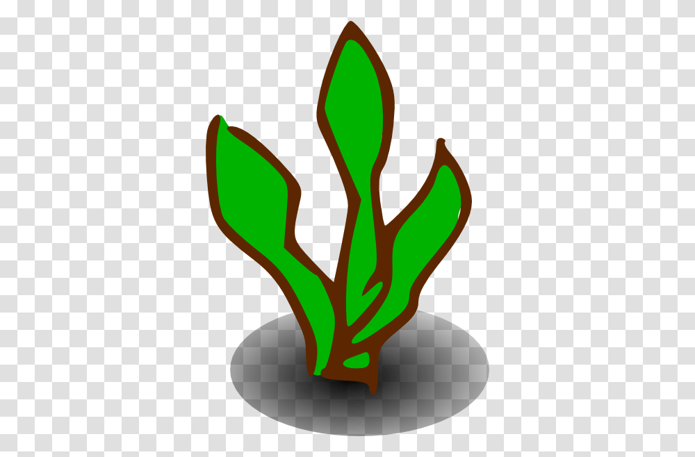 Plant, Light, Leek, Produce, Vegetable Transparent Png