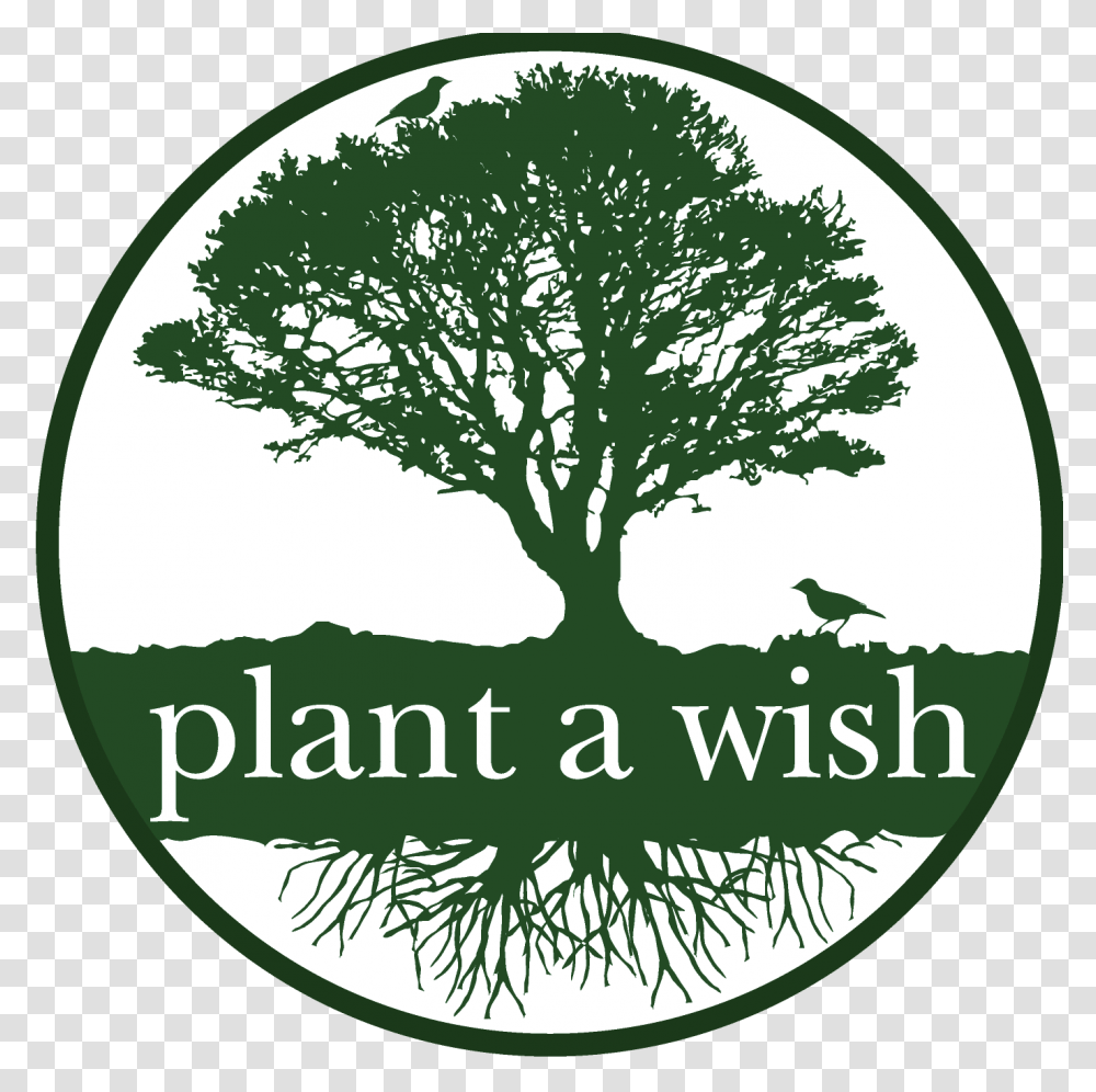 Plant Logo Green Tree Logo, Oak, Label, Rug Transparent Png