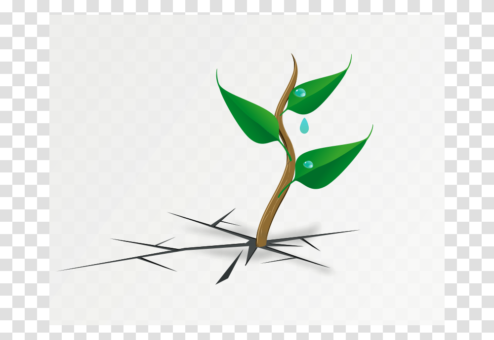 Plant, Nature, Green, Sprout, Soil Transparent Png