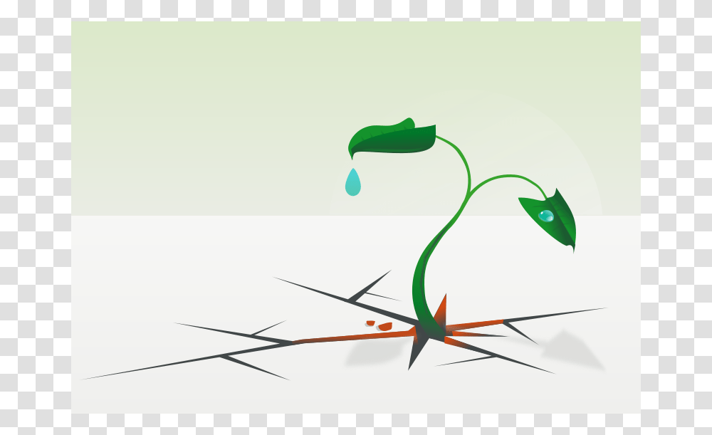 Plant, Nature, Plot, Diagram, Spoke Transparent Png