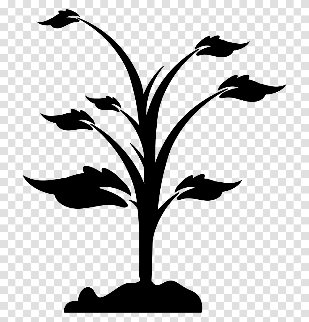 Plant On Ground Black Plants, Stencil, Bird, Animal, Silhouette Transparent Png
