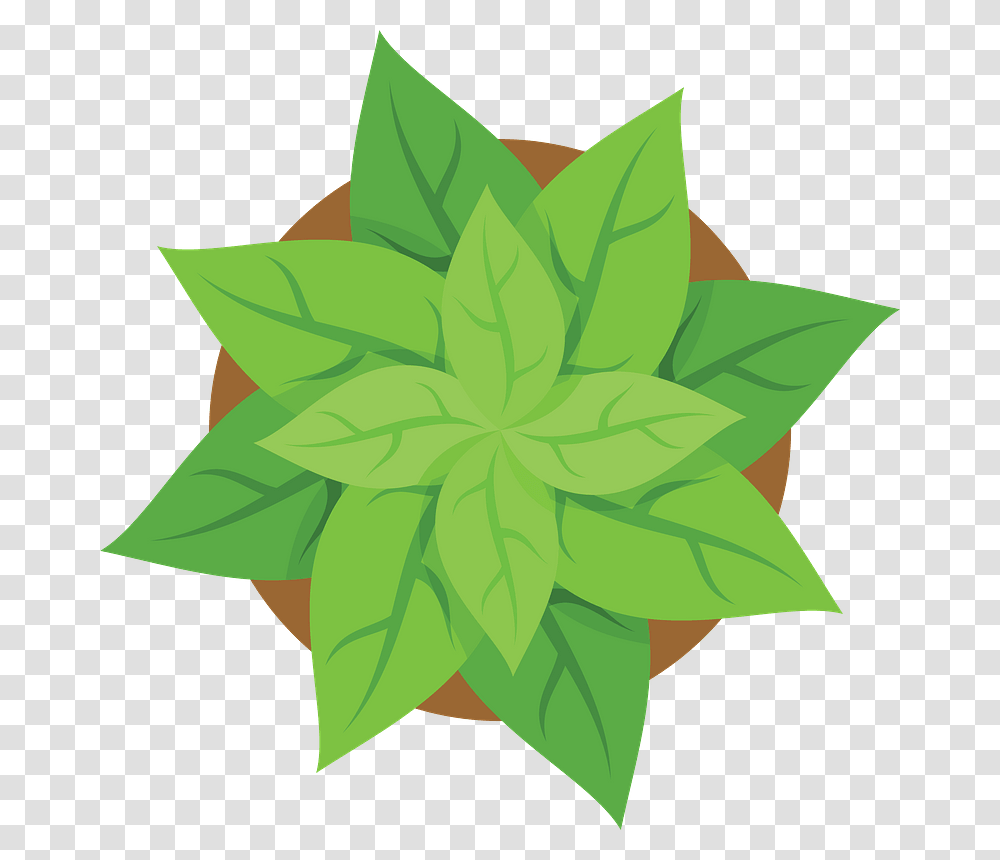 Plant Pot Top View Clipart, Leaf, Pattern, Star Symbol Transparent Png