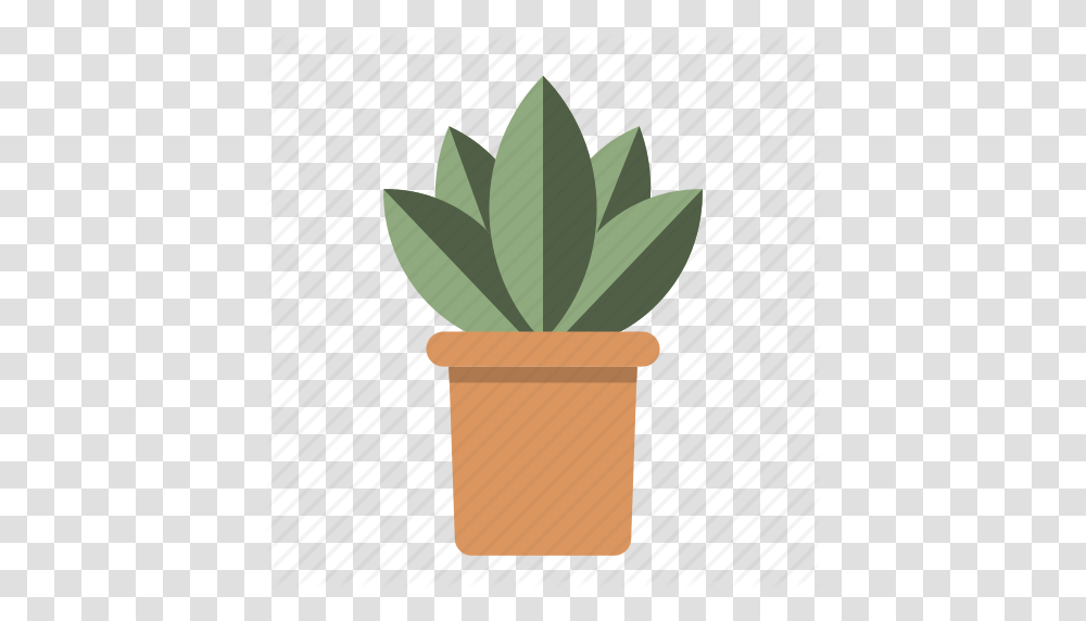 Plant, Potted Plant, Vase, Jar, Pottery Transparent Png