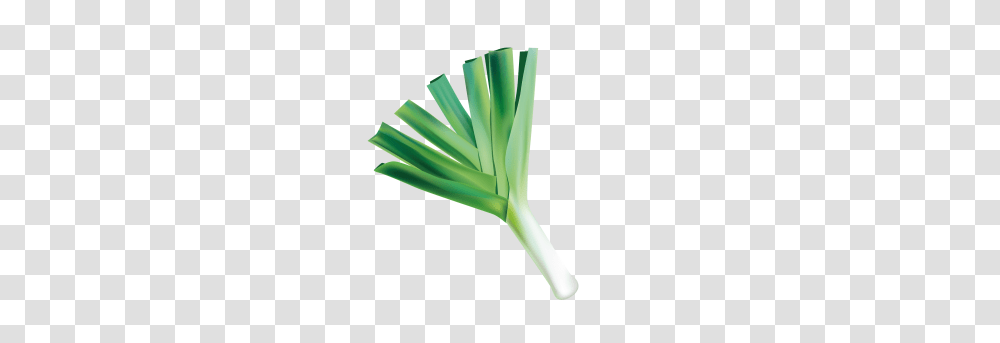 Plant, Produce, Food, Leek Transparent Png