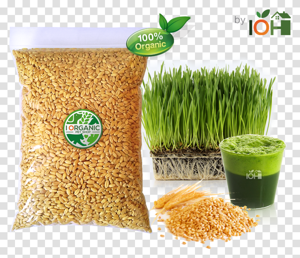 Plant, Produce, Food, Rug Transparent Png