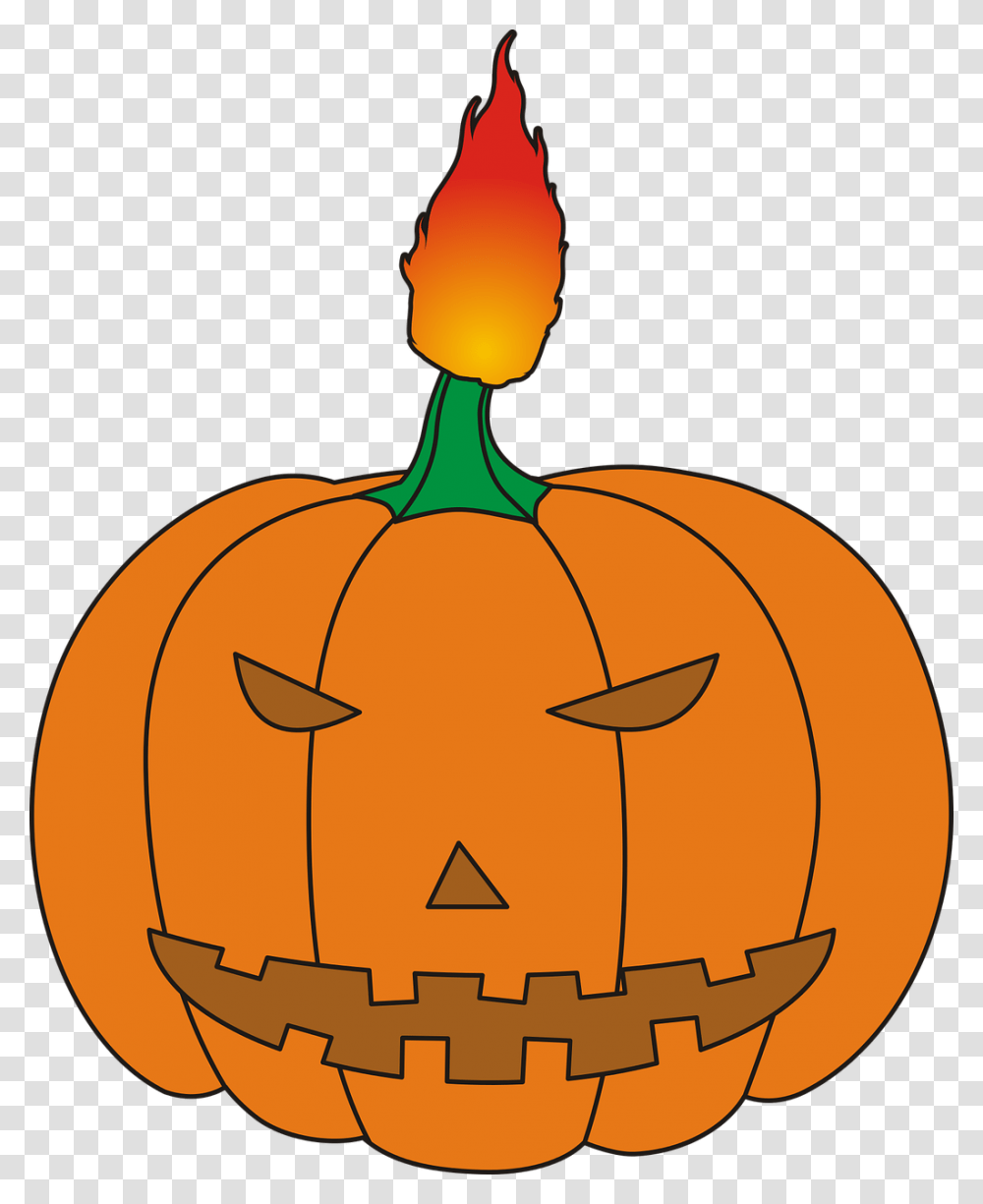 Plant, Pumpkin, Vegetable, Food Transparent Png