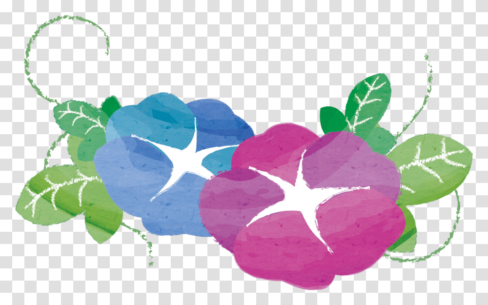 Plant, Purple, Flower, Leaf Transparent Png