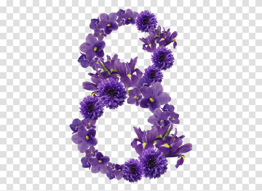 Plant, Purple, Ornament, Flower Transparent Png