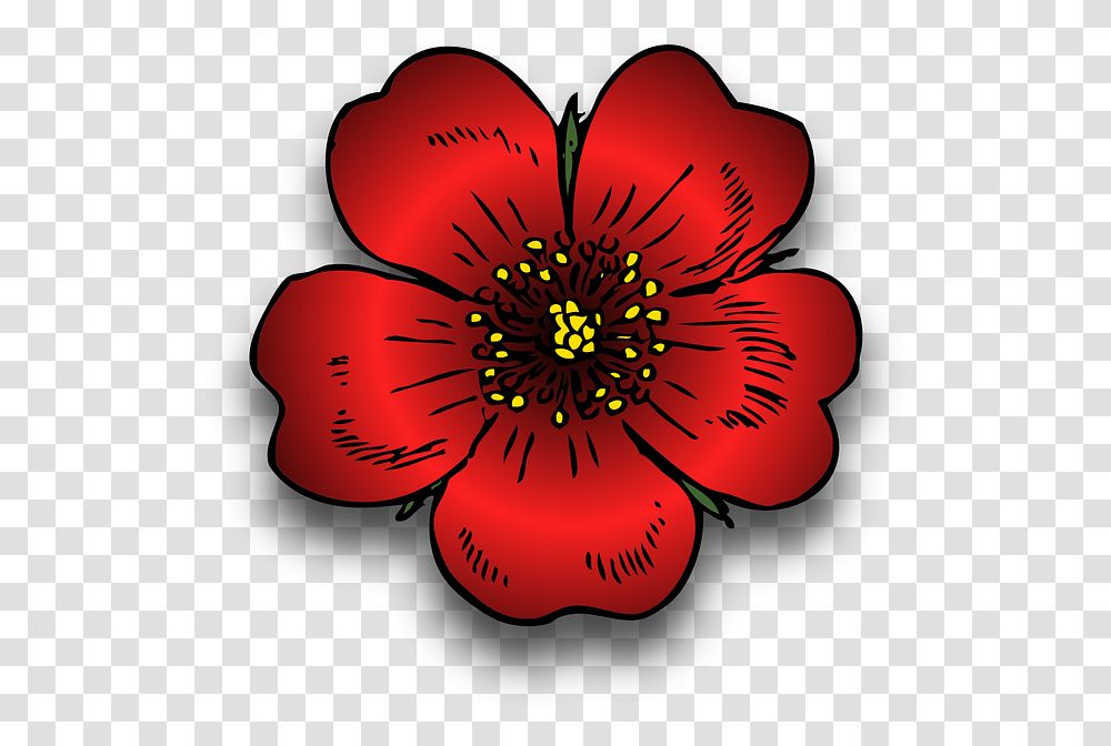 Plant Red Rosa Rose Wild Blossom Beautiful Bloom Wild Rose Clip Art, Anemone, Flower, Petal, Anther Transparent Png