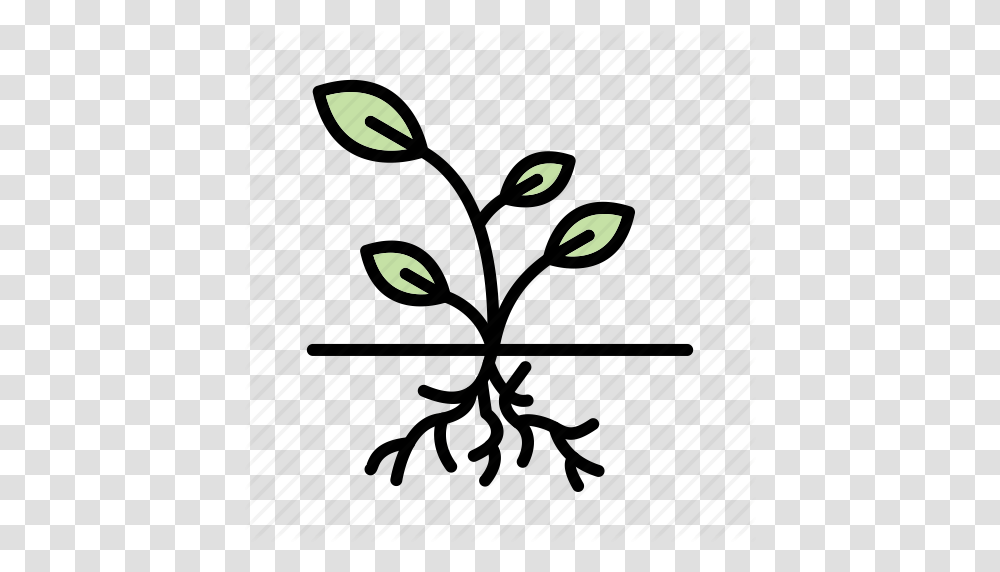 Plant Root Roots Icon, Floral Design Transparent Png