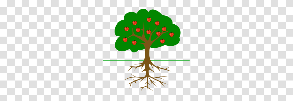 Plant, Root Transparent Png