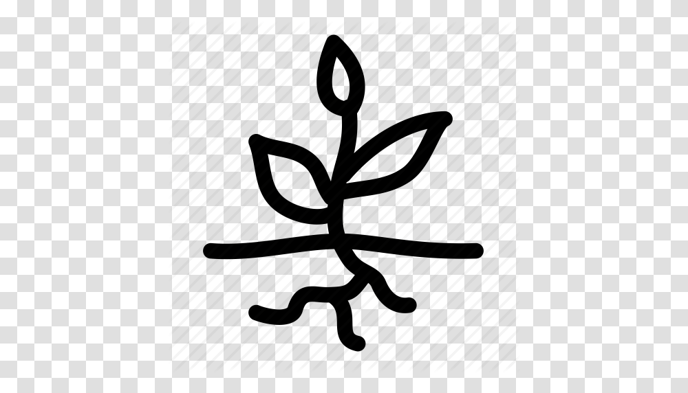 Plant Roots Root Roots Science Sprout Tree Roots Icon, Piano, Alphabet, Label Transparent Png