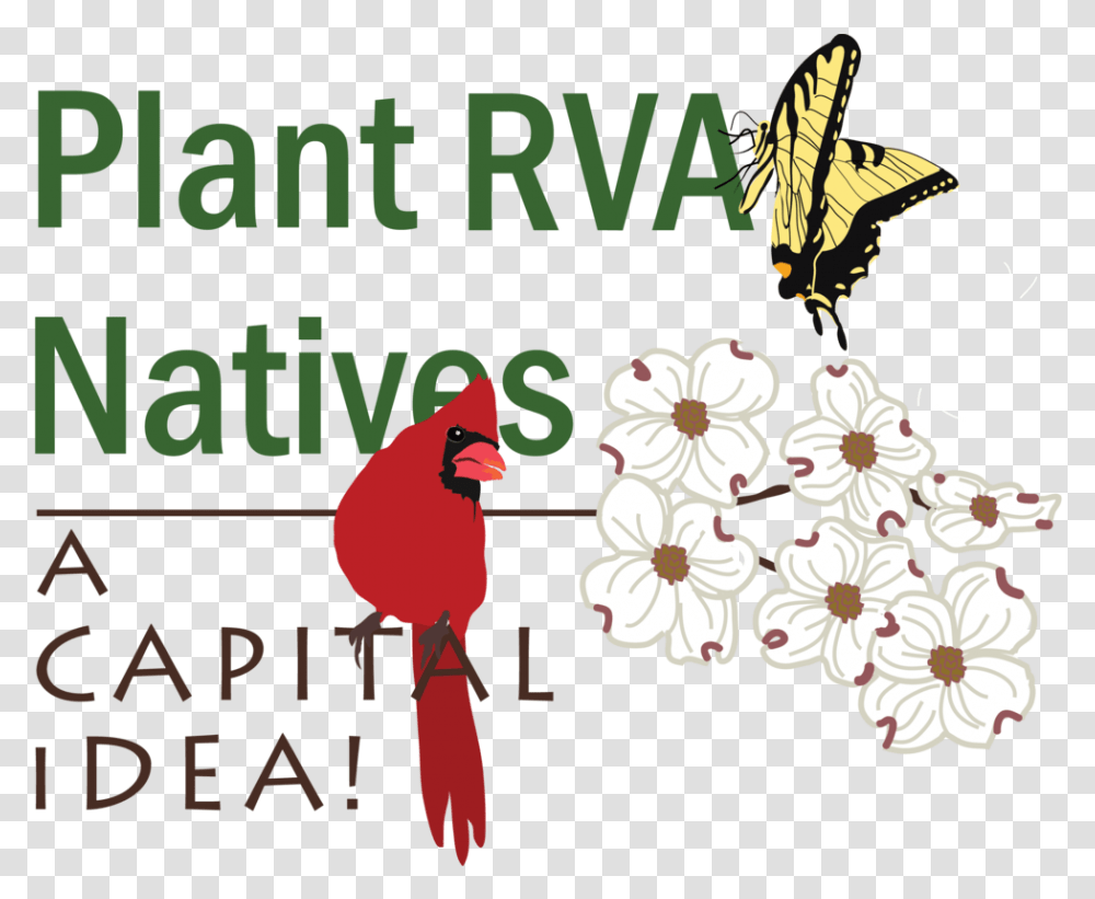 Plant Rva Natives A Capital Idea Logo Illustration, Petal, Flower, Anther Transparent Png