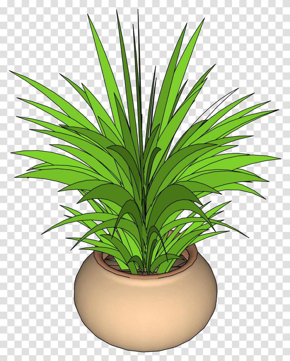 Plant Sketchup, Palm Tree, Arecaceae, Vegetation, Pineapple Transparent Png