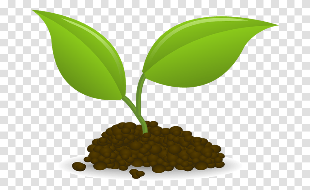 Plant Sowing Seedling Clip Art Seedling Clip Art, Green, Sprout, Leaf, Tree Transparent Png