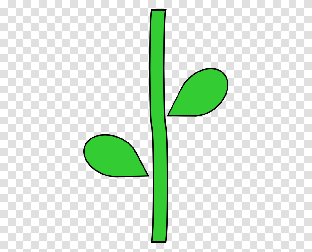 Plant Stem Plants Trunk Root Flower, Green, Leaf, Sprout Transparent Png