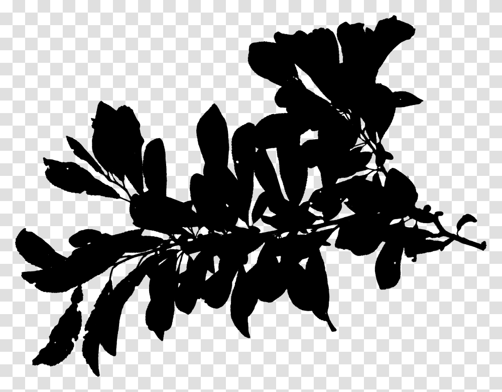 Plant Stem Silhouette Leaf Font Black Silhouette, Gray, World Of Warcraft Transparent Png