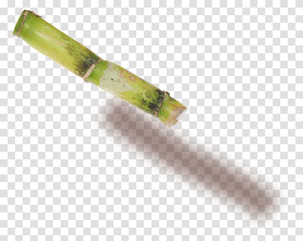 Plant Stem Wood, Weapon, Weaponry, Knife, Blade Transparent Png