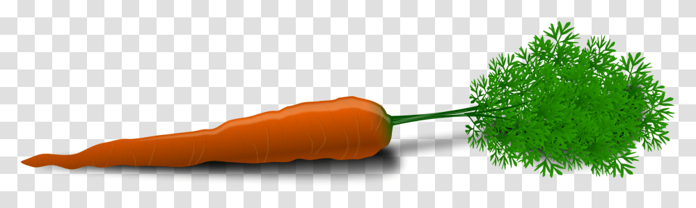 Plant Stemcarrotvegetable Carrot Clip Art, Food Transparent Png