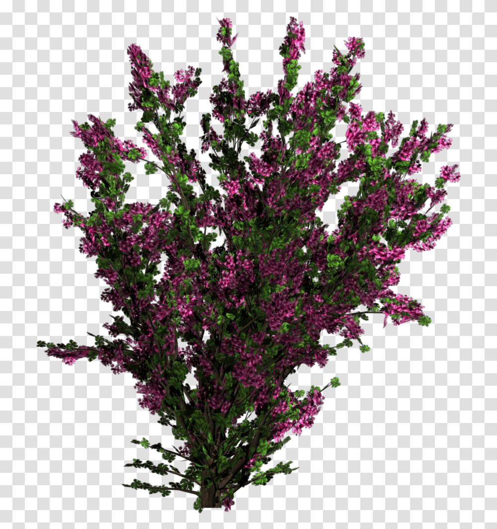 Plant Texture Tree Of Flower, Purple, Leaf, Fractal, Pattern Transparent Png